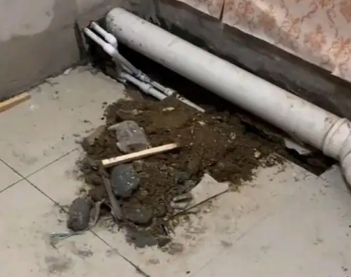 濮阳卫生间漏水检测哪家好
